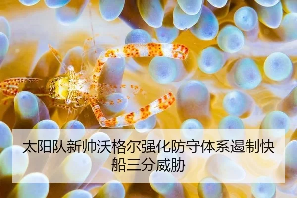 tai-yang-dui-xin-shuai-wo-ge-er-qiang-hua-fang-shou-ti-xi-e-zhi-kuai-chuan-san-fen-wei-xie-2-507.jpg