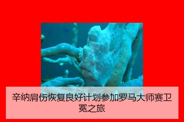 xin-na-jian-shang-hui-fu-liang-hao-ji-hua-can-jia-luo-ma-da-shi-sai-wei-mian-zhi-lv-1-509.jpg
